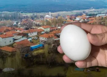 Endüstriyel ürünler ülkeyi sardı