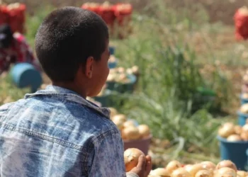 6 bin 269 çocuk işsizlik ödeneğine başvurdu